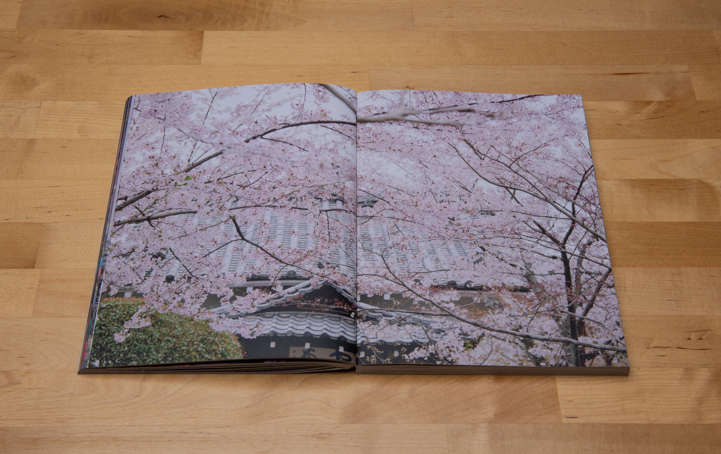 Japan - photographic essay into Japan (Small Edition)