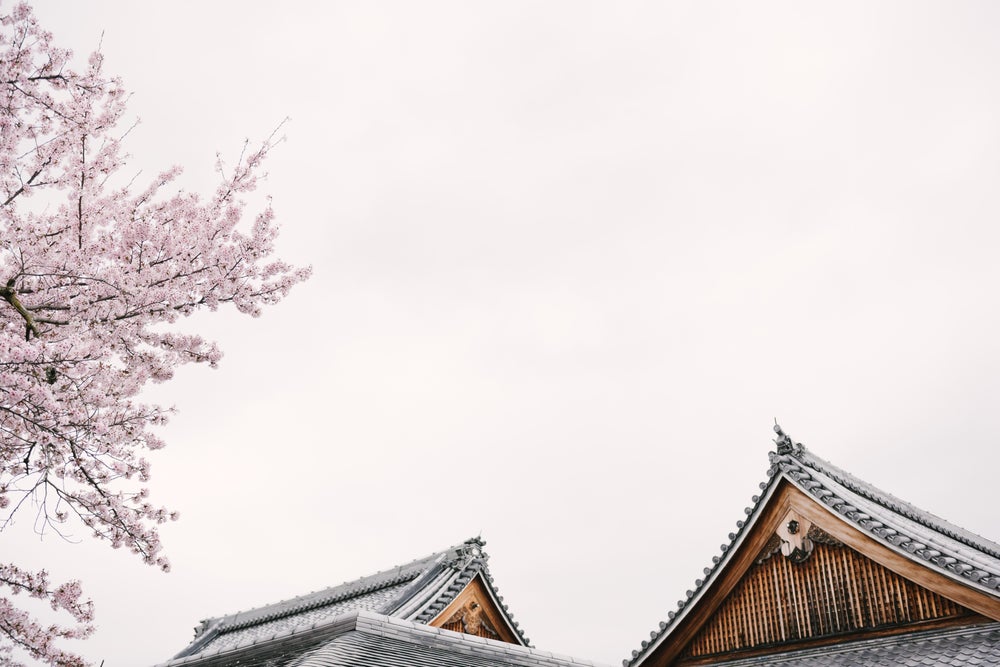 Kyoto - Temple of Cherry Blossoms