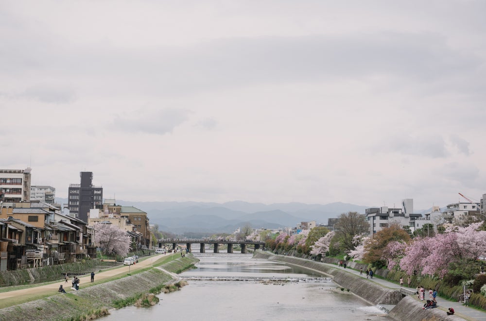 Kyoto - Blüten der Gelassenheit